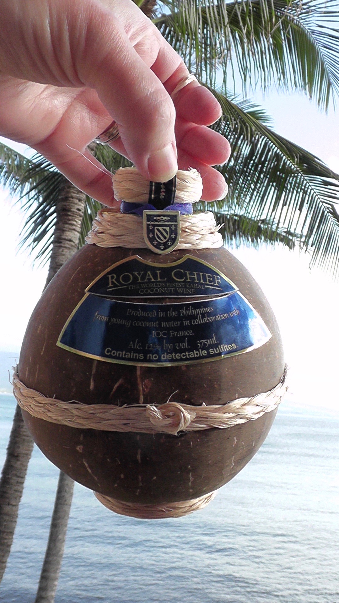 Coconut Wine, Should you?